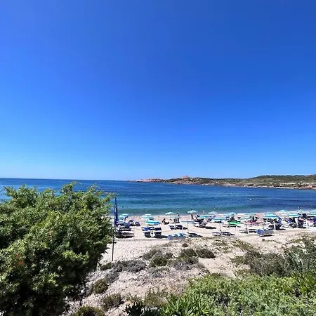 Apartman L'ulivo
