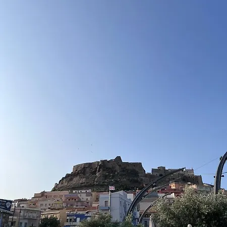 L’ulivo * Valledoria (Sardinia)