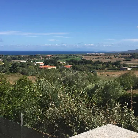 L'ulivo *