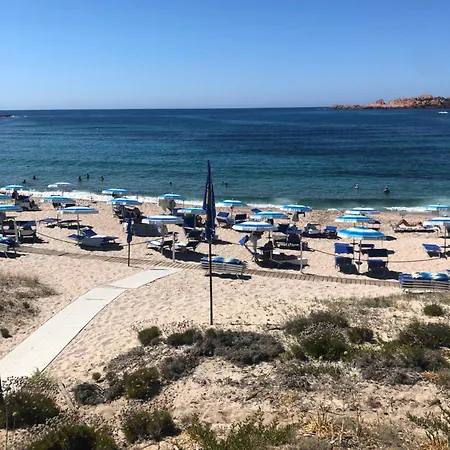 L’ulivo * Valledoria (Sardinia)