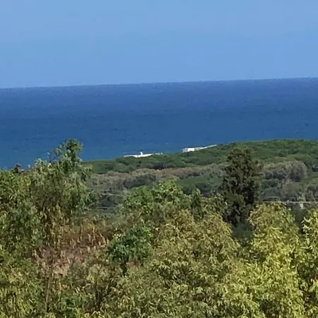 L'ulivo Valledoria (Sardinia)