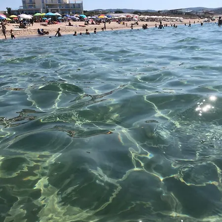 L'ulivo * Valledoria (Sardinia)