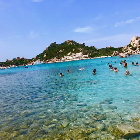 L'ulivo * Valledoria (Sardinia)